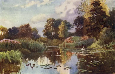 Het Meer in Botanische Tuinen