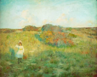 Zonsondergang in Shinnecock