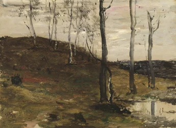 Heuvel met Bomen