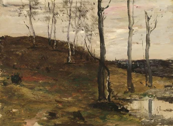 Heuvel met bomen, 1872-1878