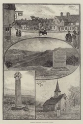 Zwerfschetsen, Haslemere, Surrey