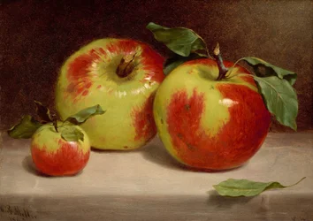 Studie van appels uit de natuur