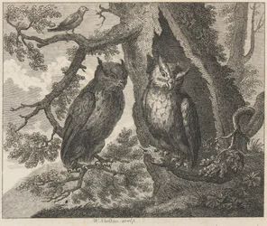 De twee uilen en de mus