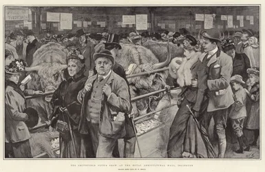 De Smithfield Club Show in de Royal Agricultural Hall, Islington
