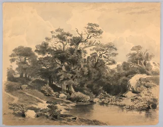 Studie van landschap