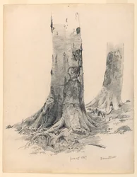 Tekening, Boomstammen, Darmstadt, 27 juni 1867