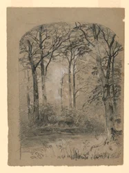 Landschap