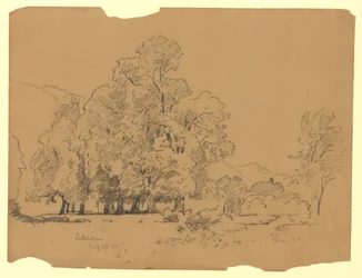 Landschap, Interlaken, Zwitserland