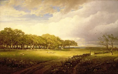Oude boomgaard bij Newport