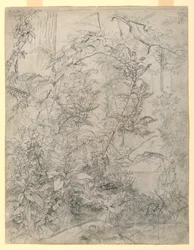 Studie van gebladerte