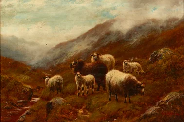 Hooglandschapen op een Heuvel