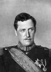 Albert, Koning van België, Eerste Wereldoorlog, 1914