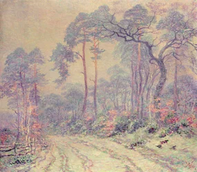 Het Pad door het Bos