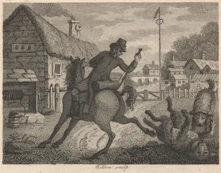 De bastaardhond, het paard en de herdershond
