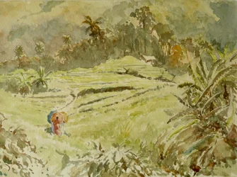 726 De 