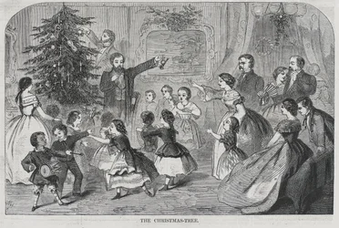 Kerstmis - Het verzamelen van groenblijvende planten De kerstboom