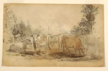 Tekening, Vier grazende koeien in een weiland, ca. 1855-60