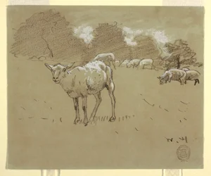 Tekening, Grazende schapen in een veld, ca. 1875-78