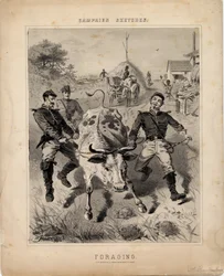 Foerageren, illustratie uit 