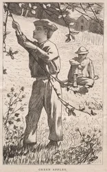 Groene appels, 1868