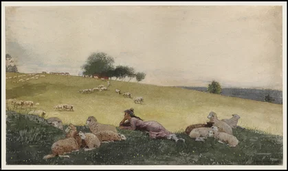 Herderin van Houghton Farm, 1878