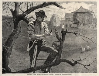 Lente boerderijwerk - enten, 1870