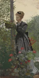 Zomer, 1874