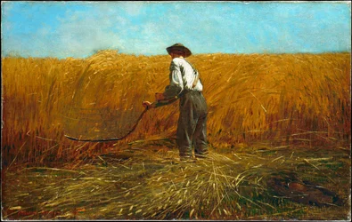 De veteraan op een nieuw veld