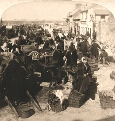 Verkoop van het Levensmiddel van de Ier, de Aardappelmarkt, Galway, Ierland, 1901