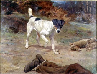 Een Jack Russell bij een Konijnenhol