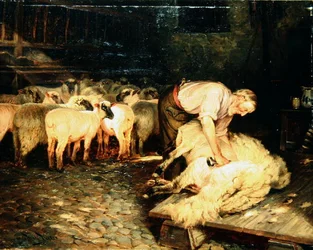 De schaper