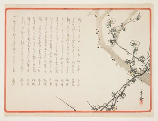 (Pruimenbloesems)