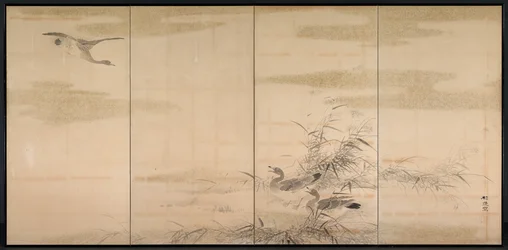 Ganzen, riet en water, 1800s