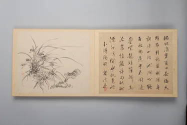 Verfijnde elegantie in de vier seizoenen Shiji seiga, Album van bloemenschilderijen