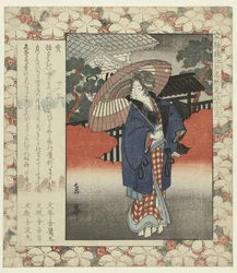 Everzwijn: Shitaya