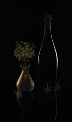 Elegant donker stilleven