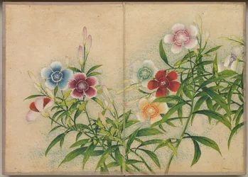 Bureau Album: Bloem- en Vogel Schilderijen (anjer)