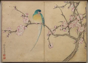 Bureaualbum: Bloemen- en vogel schilderijen Vogel met pruimenbloesems, 18e eeuw