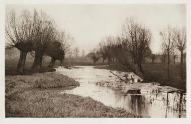 Een achterwater op de Lea