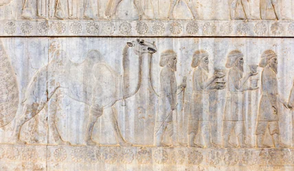 Oud reliëf van de Achaemeniden; delegatie van de Parthen met kameel; Apadana Paleis; archeologische site; oude Perzische stad Persepolis; UNESCO Werelderfgoed; Fars Provincie; Iran; Azië