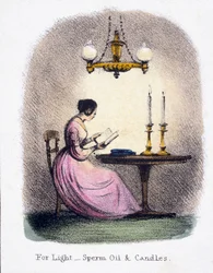 Voor licht, spermaceti-olie en kaarsen, c 1845