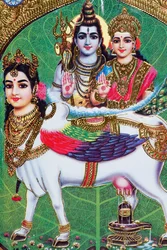 Hindoe god Shiva en godin Parvathi.