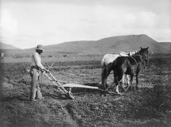 Indiaan die zijn land ploegt, Sacaton Indianenreservaat, Arizona, c.1909