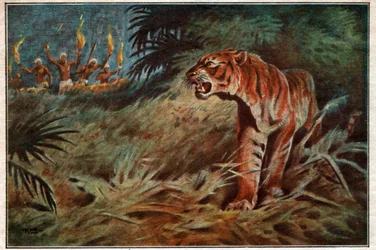 Mensetende tijger
