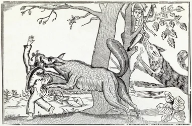 De wolf circa 1820