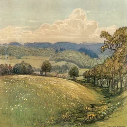 Sussex