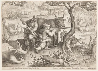 Hertenjacht