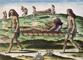 Hermafrodieten vervoeren de gewonden, uit 