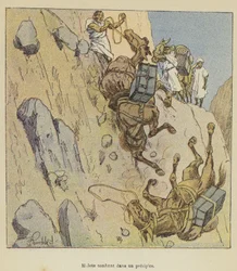 Muilezels die in een afgrond vallen