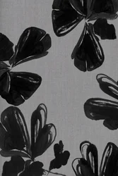 Abstract: Zwarte bloemen